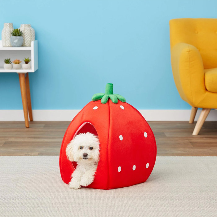 Tucker Murphy Pet™ Olney Strawberry Dog Dome & Reviews Wayfair